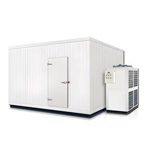 Quality Commercial Cold Storage Room Stainless Steel Cold Room And Freezer Room for sale
