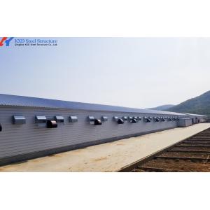 Steel Structure Poultry Shed - Fully Automated Chicken Farming Equipment