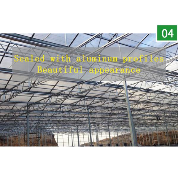 Good Light Permeability Essential for Venlo Glass Greenhouse in Agricultural Industry