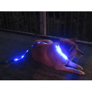 LED Dog Leash USB Rechargeable Flashing Light