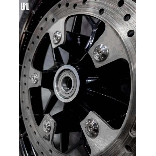 INCA Titanium Alloy Screws Ten Pieces Minimum Order For Touring Series