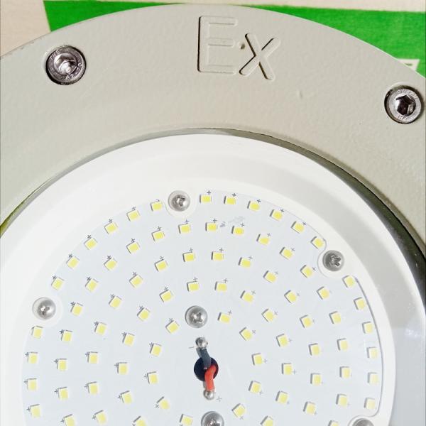 ATEX Zone 1 Explosion Proof High Bay Lighting Led 100W 50W Waterproof Gas Station