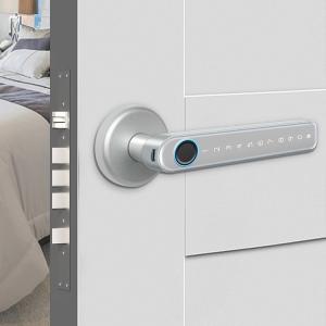 TTlock Smart Handle Door Lock