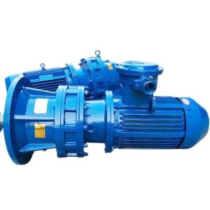 Planetary Cyclo Speed Reducer Gearbox Pinwheel With Electric Motor