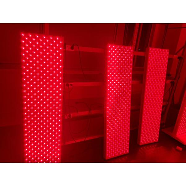 600 Pcs LED Red Light Therapy Device 3000w PDT LED Light Therapy Machine