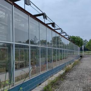 3-7m Shoulder Height Galvanized Steel Frame Commercial Glass Greenhouse for