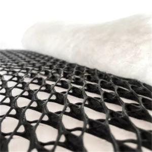 Drainage Roads with density Polyethylene Plastic Geonet Mesh and Vegetative