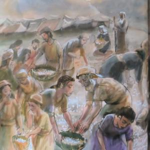 Illustrated Children's Bible | Children's Bible With Glossy Art Paper Cover