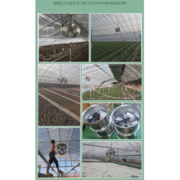 Professional Greenhouse Circulation Exhaust Fan Gardening Hanging Fan for Husbandry Cooling