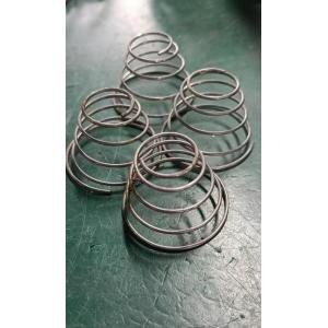 Support spring check valve