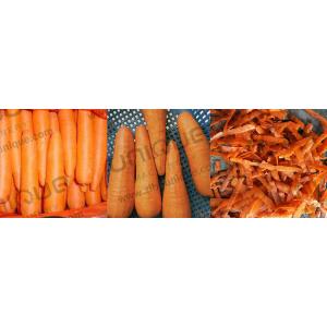 Professional Carrot Peeling Machine for Commercial Fruit and Vegetable
