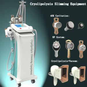 China Touch Screen Cryolipolysis Fat Freeze Slimming Machine Radio Frequency for fat removal on sale