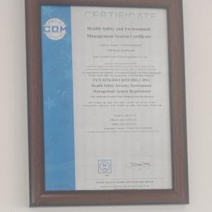 Direct Supply 190 Series 500GF-Tk1 Gas Generator with Online Services After