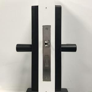 Aluminum alloy Biometric Smart Lock With Fingerprint Sensor