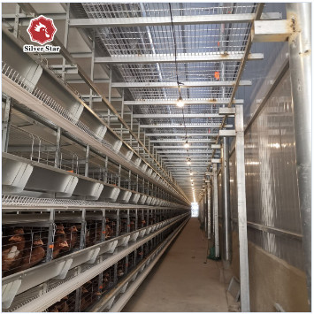 Buy Broilers 4 Tiers Chicken Poultry Cage Automatic Manure Removal System at wholesale prices