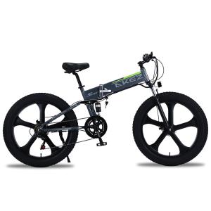 Magnesium Alloy Lithium Battery Electric Bike , 48V 500W Electric Bicycle