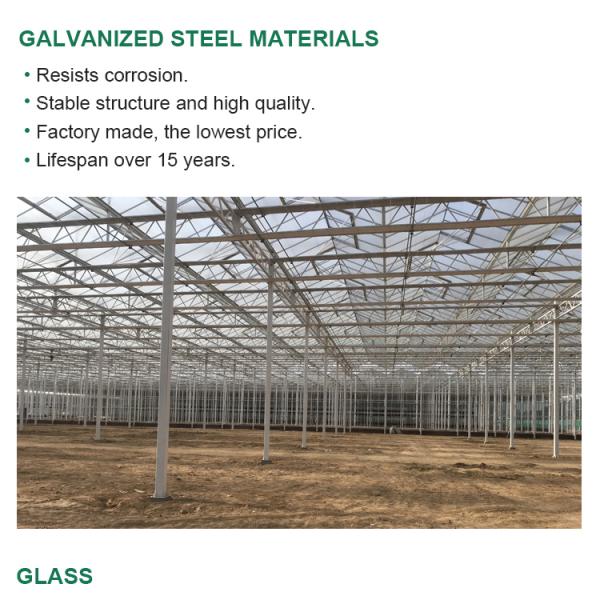High Yield Three Layer Glass Greenhouse for Optimal Plant Growth and Vegetable Farming