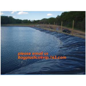 Construction Builder Film, Waterproof Dampproof, PONDS LINER, Geomembrane,