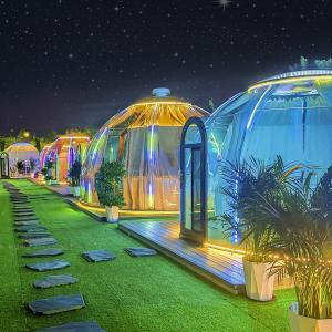 Luxury Outdoor Transparent Inflatable Bubble Lodge for Camping and Hotel Tent