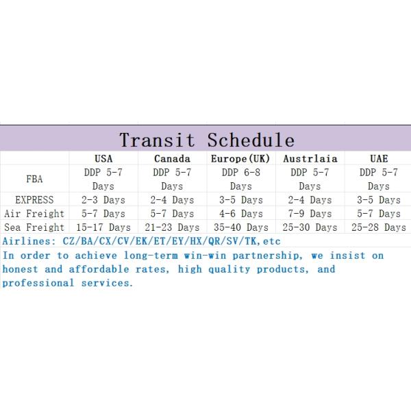 Timely Full Container Load Ocean Freight DDP Worldwide Sea Freight