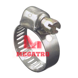 American hose clamp