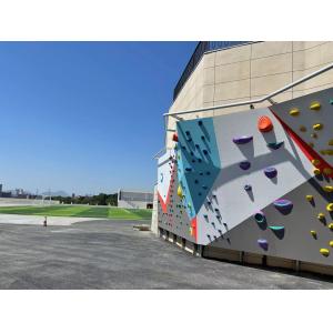 Professional Indoor Climbing Wall Climbing Holds Custom Moisture Proof