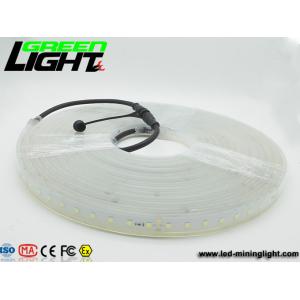 12v DC IP68 17W SMD5050 Flexible Led Strip Lights