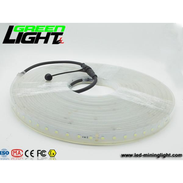 Buy 12v DC IP68 17W SMD5050 Flexible Led Strip Lights at wholesale prices