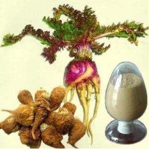 Quality Pure natural Peru maca root powder maca extract --Macamide Macaenes for sale