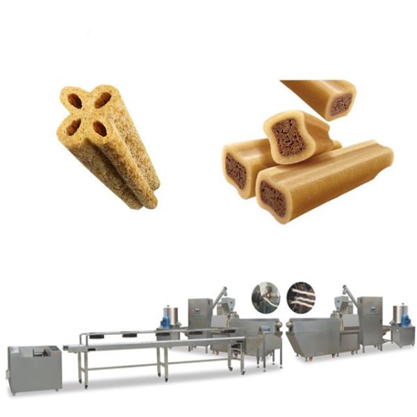 Single Screw Extruded Pet Chewing Food Processing