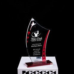 Encourage Souvenir Plastic Crystal Trophy Cup With Laser Engraving