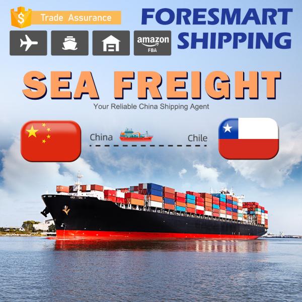 Buy 40GP China To Chile International Sea Freight Forwarding at wholesale prices