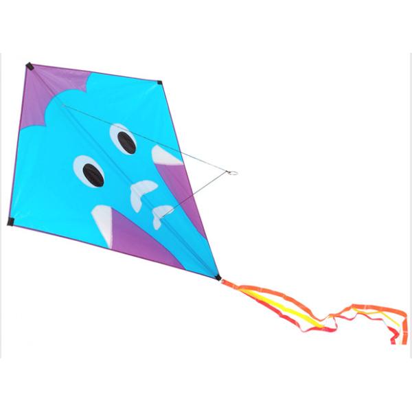 Fiberglass Kid 30m String Line 124*152cm Diamond Stunt Kite