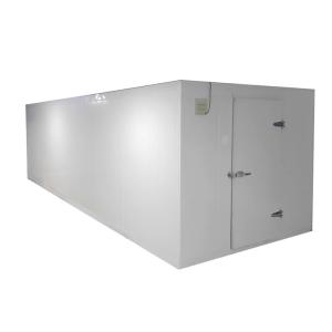 Commercial Freezer Room Warehouse With Moisture - Proof Cold Light