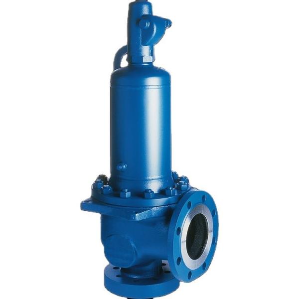 Buy Type 455 Pressure Safety Valve For High Pressures With Semi Nozzle Safety Valve at wholesale prices