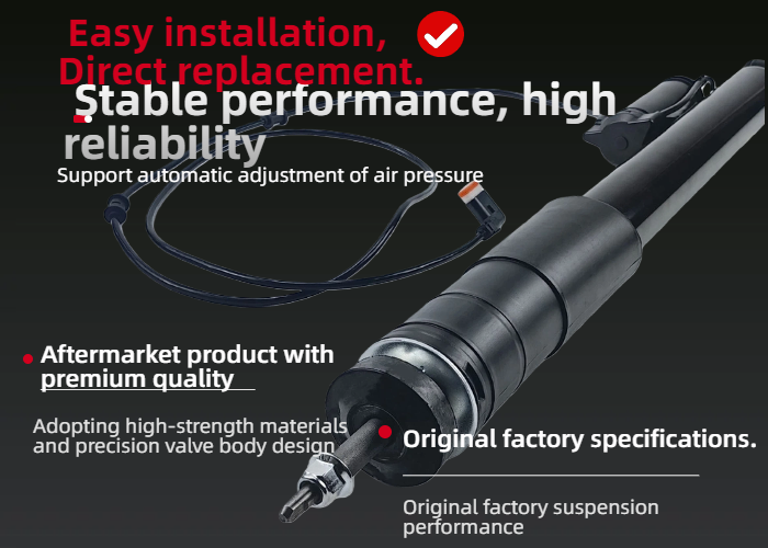 Reliable Quality Rear Shock Absorber with ADS Mercedes-Benz CLS Class C219 2193260400 ﻿