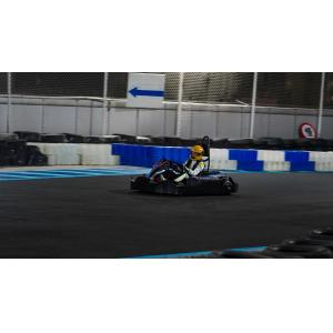 Professional 4 Wheel Electric Indoor Karting 3500RPM Remote Maintenance