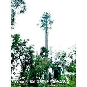 10m 25m Artificial Bionic Hidden Cell Phone Towers Camouflaged