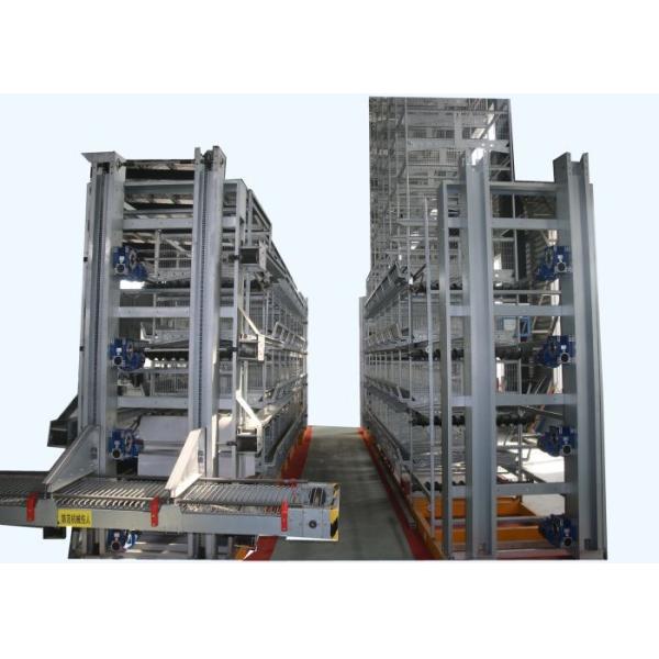 Buy Energy Saving Automated Poultry Equipment Manure Removal  For Healthy Layer Chicken at wholesale prices