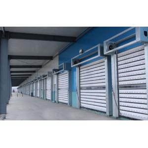 1000N Output Torque Spiral Security Garage Door with Remote Control and Aluminum Alloy