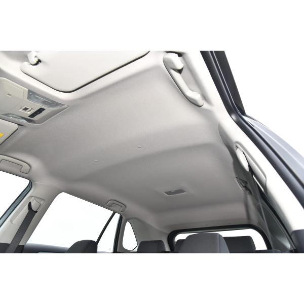 Toyota Wildlander Compact SUV Electric Cars Rear Suspension Multi-link and Affordable