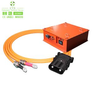 CTS Industrial Wiring Harness for Motorcycle Auto Electric Vehicle High Voltage