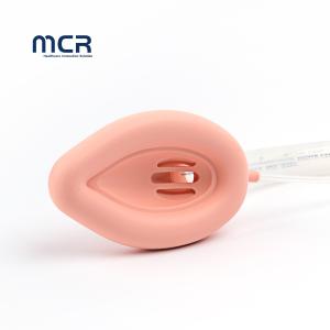 Disposable 100% Silicone Laryngeal Mask Airway With Bar