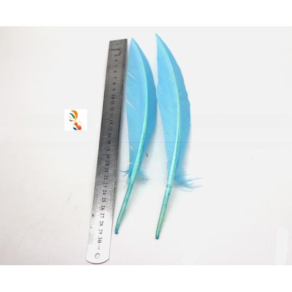 25-30cm Stripped Colored Turkey Feathers Quill Dyed For Decorative
