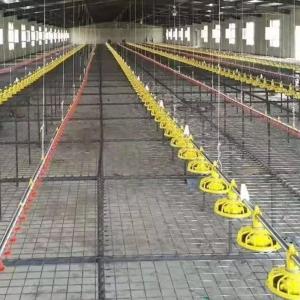 66kg Galvanized Chicken Feeder