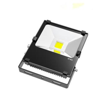 High Lumen IP65 COB LED Flood Light with CE ROHS approval for Buildings