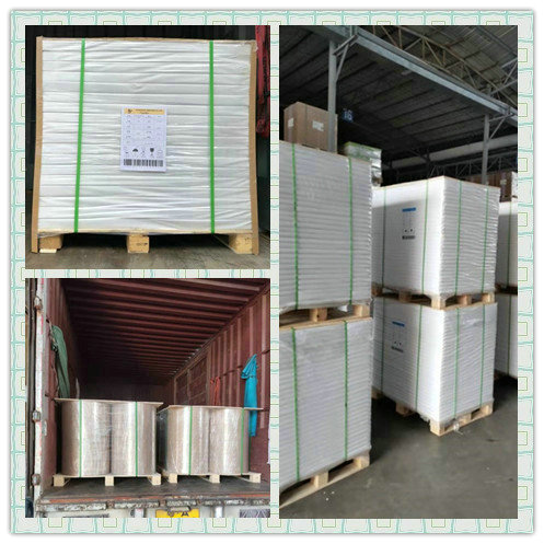 40GSM PE Coated White Kraft Paper Roll To Wrapping Meat Or Nut 40GSM PE Coated White Kraft Paper Roll To Wrapping Meat Or Nut