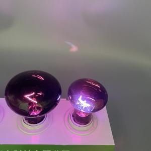 75W UVA Spot Lamp R63 R80 For Reptile And Amphibian Bearded Dragon Lizard