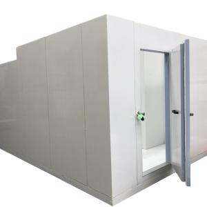 Assembled Industrial Freezer Cold Room with Energy Saving for Storing Meat/Fish