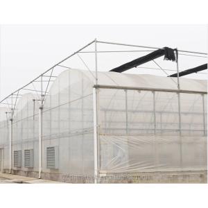 Shine Tech Greenhouse Turnkey Solution For Agricultural Tomato Hydroponics